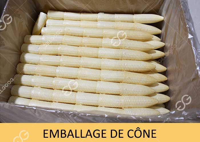 emballage de cône