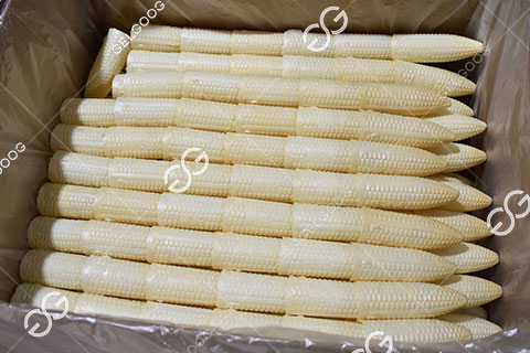 ligne de production de cône de plaquette